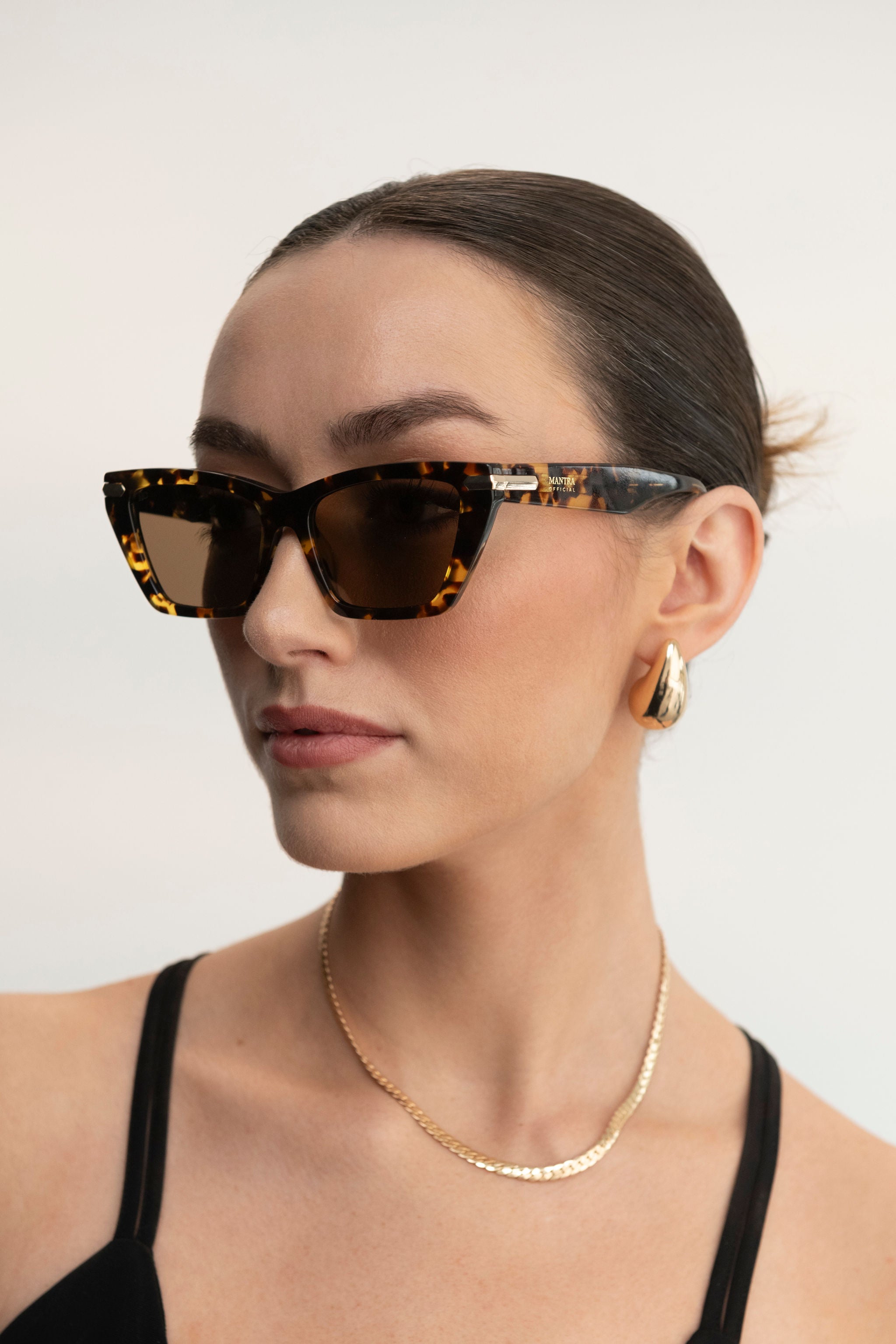 Elle Sunglasses Brown Tortoise Cat Eye Frame