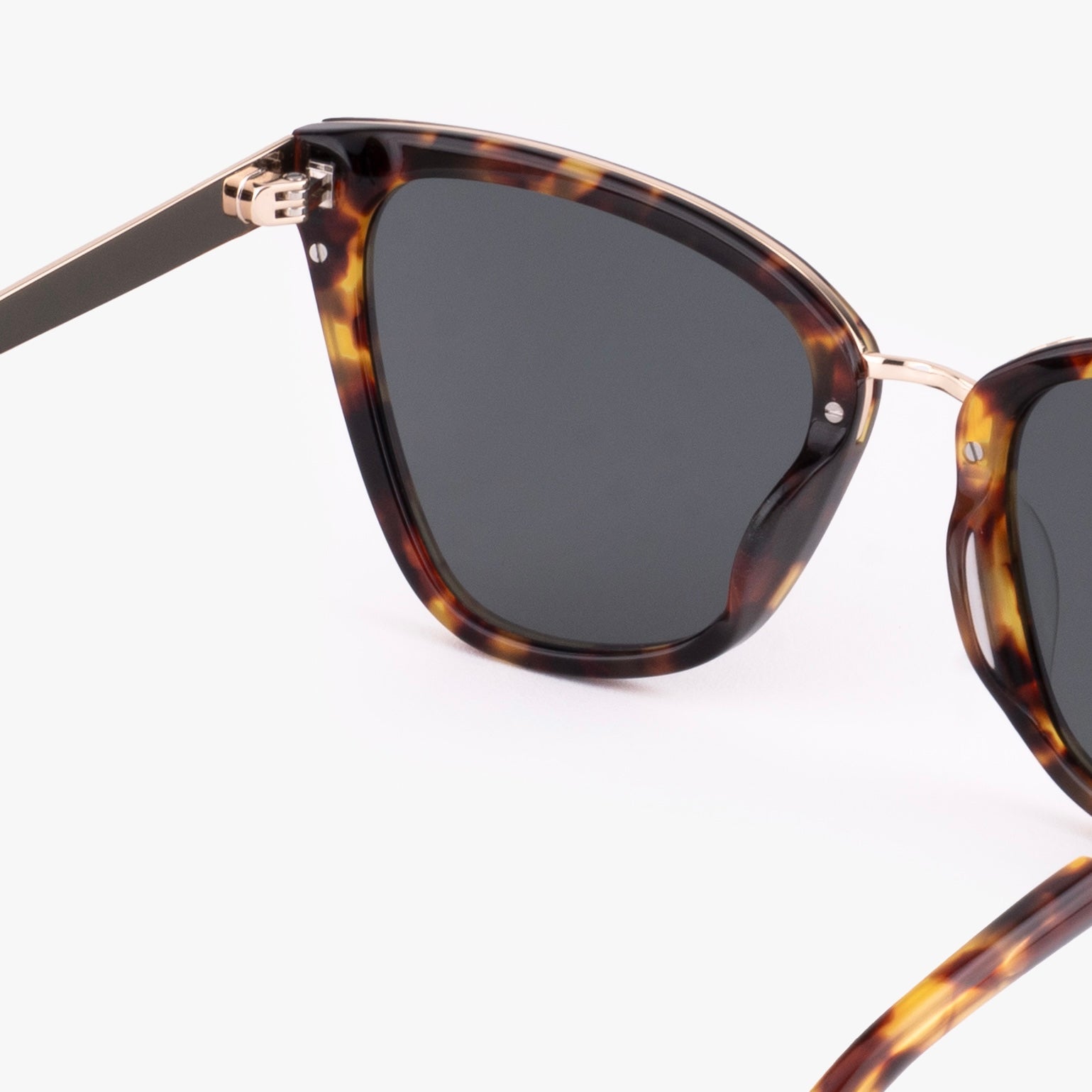 Amara Sunglasses Tortoise Cat Eye Frame